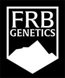 FRB Genetics